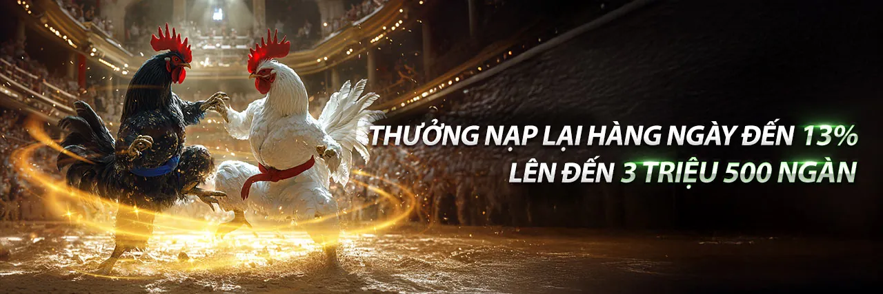 Đá gà trực tuyến kịch tính tại Raybet